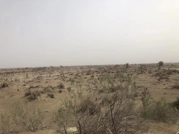 刑事案件流程有哪些？上海刑案階段律師為您介紹