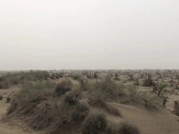 奉賢刑事律師：打工人必看！一不小心就會觸犯商業(yè)秘密罪