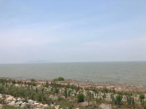 如何認(rèn)定參加黑社會(huì)性質(zhì)組織罪中的參加行為？上海刑事犯罪律師來(lái)回答