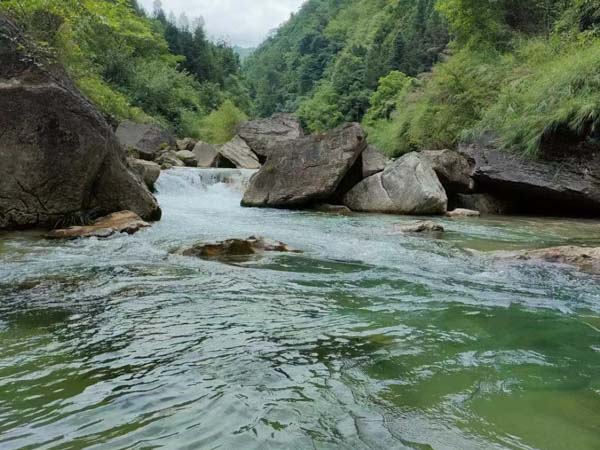 偷稅行為已過訴訟時效該如何處理？上海刑事案件律師為您解答