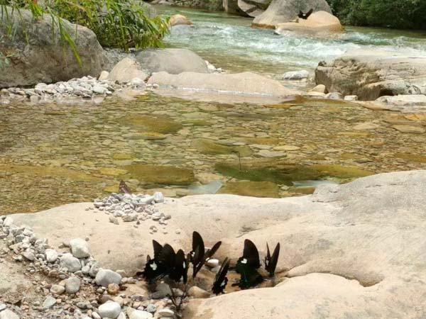 上海靜安刑事律師為您講解犯罪主觀方面的相關(guān)問(wèn)題