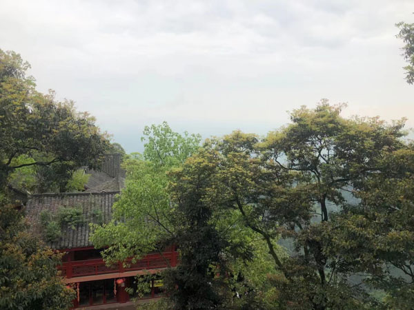 寶山刑事律師為您講解關(guān)于貸款詐騙罪的相關(guān)知識(shí)