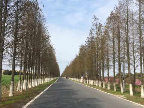 上海刑事律師:打架派出所調解賠償費用是多少